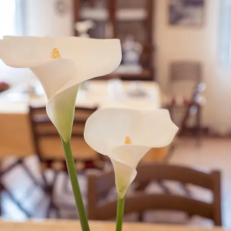 Agrib&b Corte Burchio Bed & Breakfast