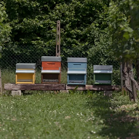 Bed & Breakfast Agrib&b Corte Burchio