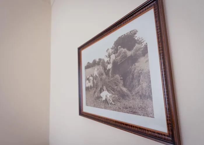 Bed & Breakfast Agrib&b Corte Burchio