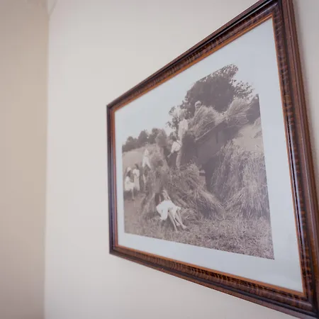 לינה וארוחת בוקר Agrib&b Corte Burchio