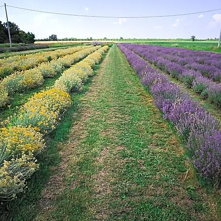 Agrib&b Corte Burchio Bed and breakfast 3*