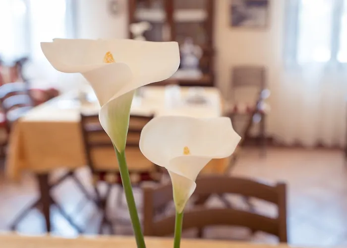 Agrib&b Corte Burchio Bed and breakfast