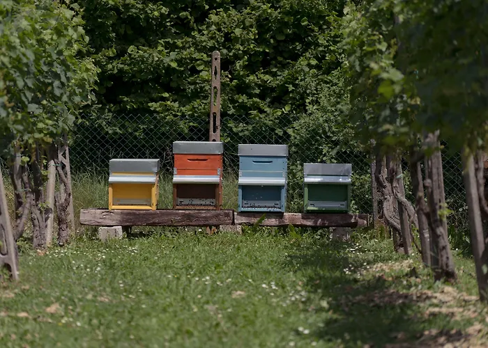 住宿加早餐酒店 Agrib&b Corte Burchio